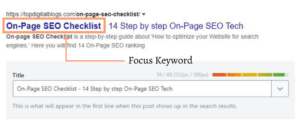 Focus Keyword strategy