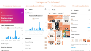 Professional-Dashboard